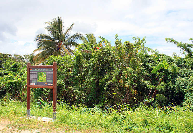 Gédéon-Bambou site, Morne-A-l'Eau: information boards placed along the trail