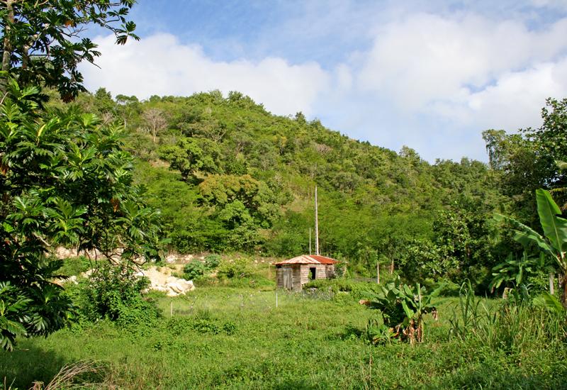Guadeloupe, Les Abymes, the Grands Fonds at the Papin district