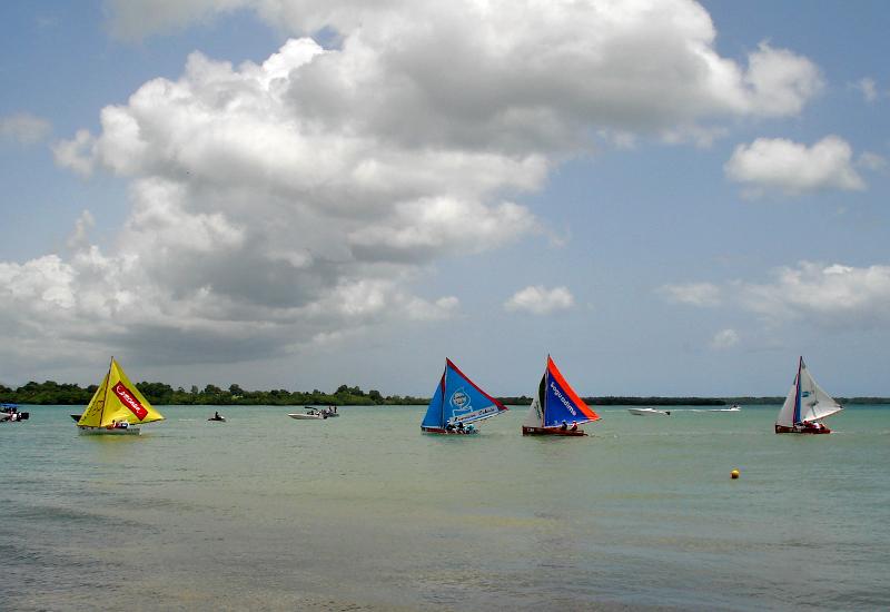 During a stage of the Tour of Guadeloupe in traditional sailing (TGVT)