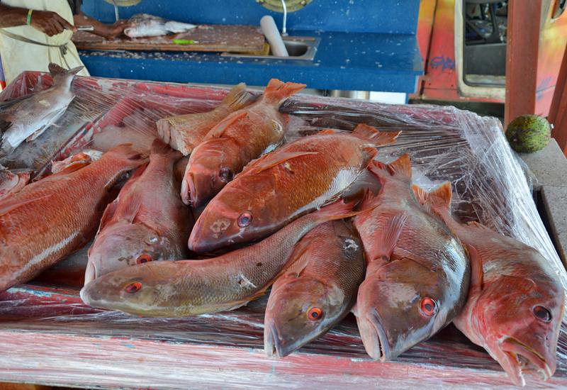  Central Market of Basse-Terre. Stall of fish in specially arranged space