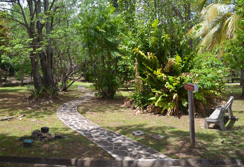  Botanical Garden - Basse-Terre: discovery trail