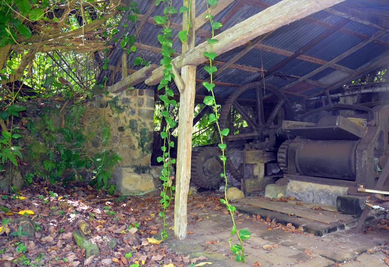  The vestiges of the workshop still preserved, here, the cane mill
