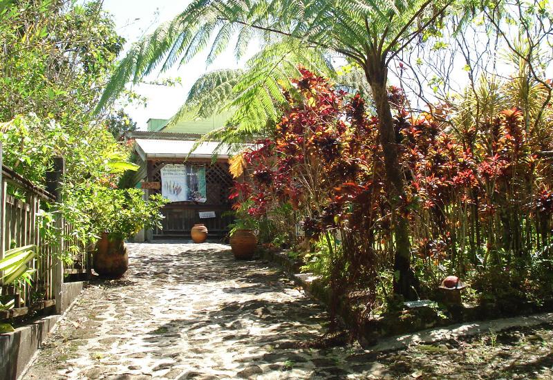  Banana House, a must-know place for banana from Guadeloupe
