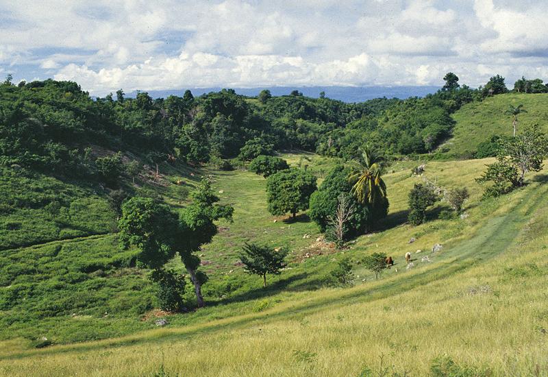 Typical landscape of the site of Grands Fonds