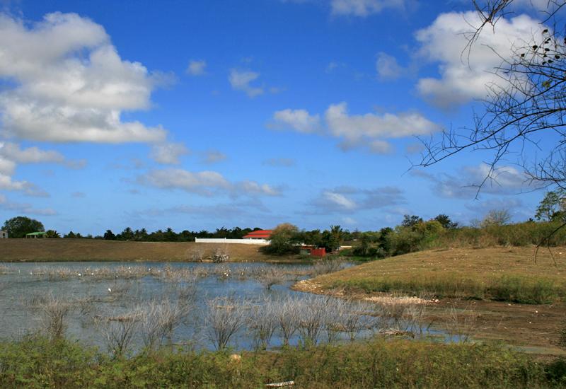 Guadeloupe, Sainte-Anne, les Grands Fonds, pond of Bamboche