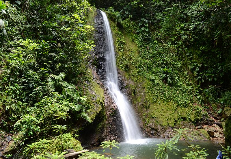 Bois Bananes, Lamentin, a beautiful waterfall of ten meters