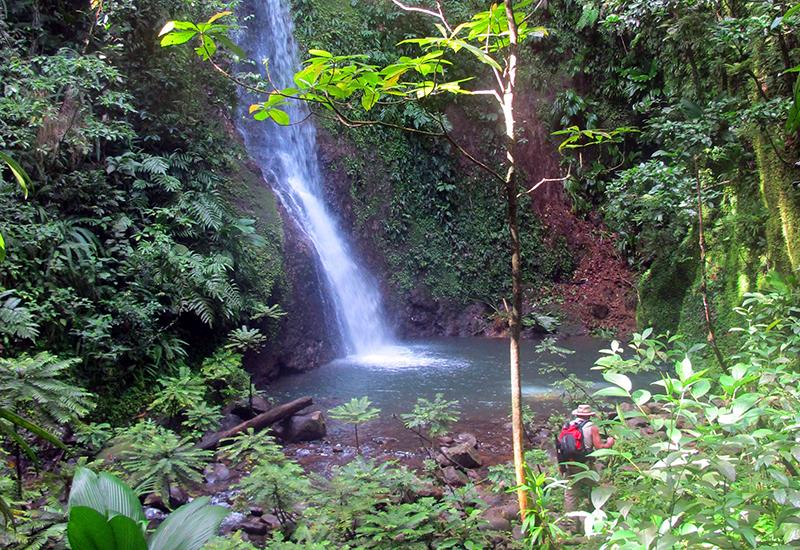 Guadeloupe, town of Lamentin, Waterfall of “Bois Bananes“, on the river of the same name