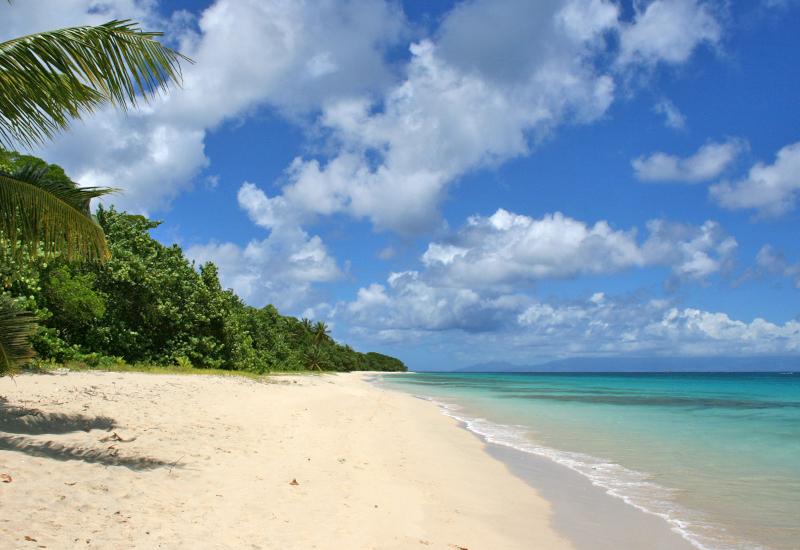 Saint-Louis de Marie-Galante, anse de Mays. Long sandy beach Saint-Louis de Marie-Galante, anse de Mays. Long sandy beach