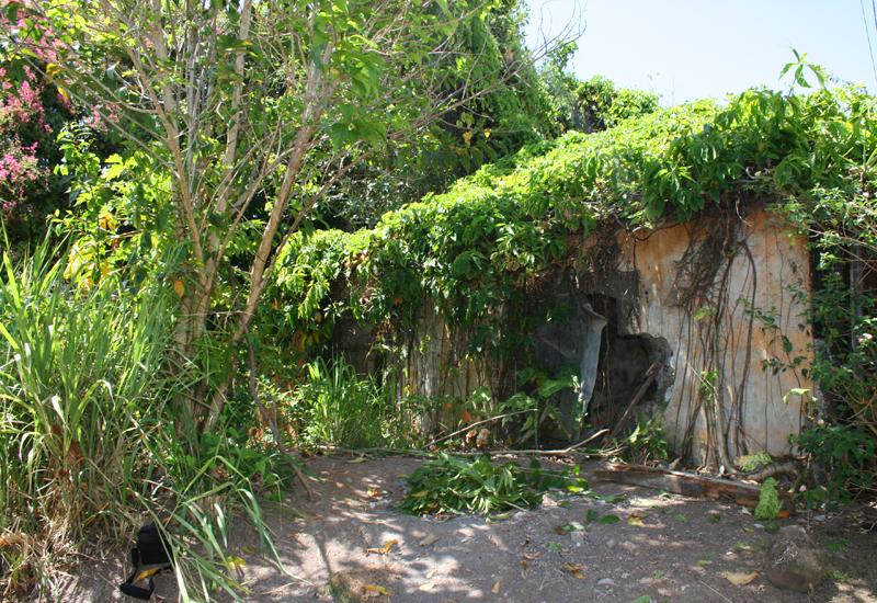 City of Goyave, the old prison buried under the vegetation 