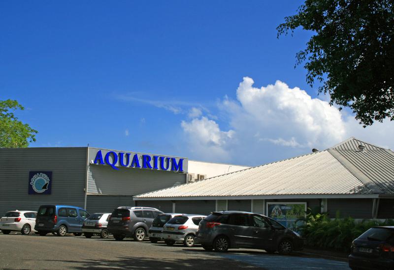The aquarium of Guadeloupe