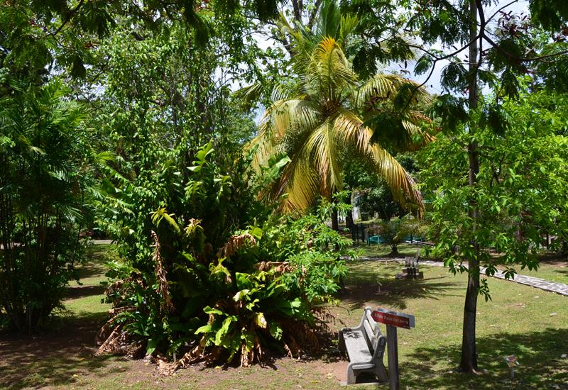  Botanical Garden. More than 130 species of trees and plants of various origins