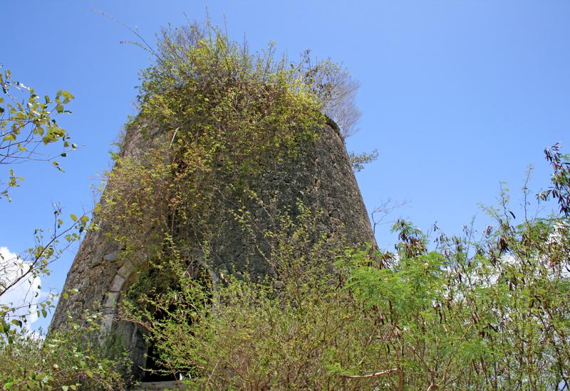  Moulin de Gissac (Gissac mill): bay and window